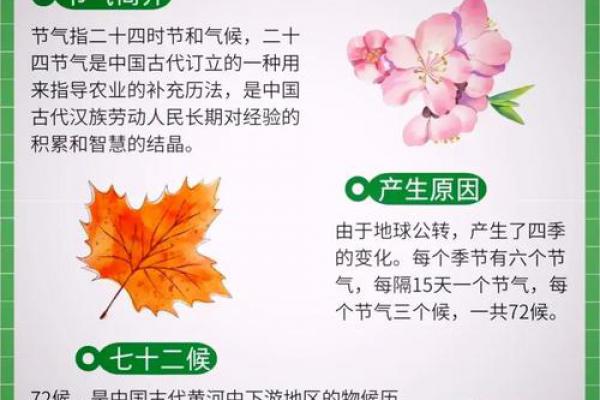 24节气与气候变化_应对自然 24节气与气候变化_应对自然